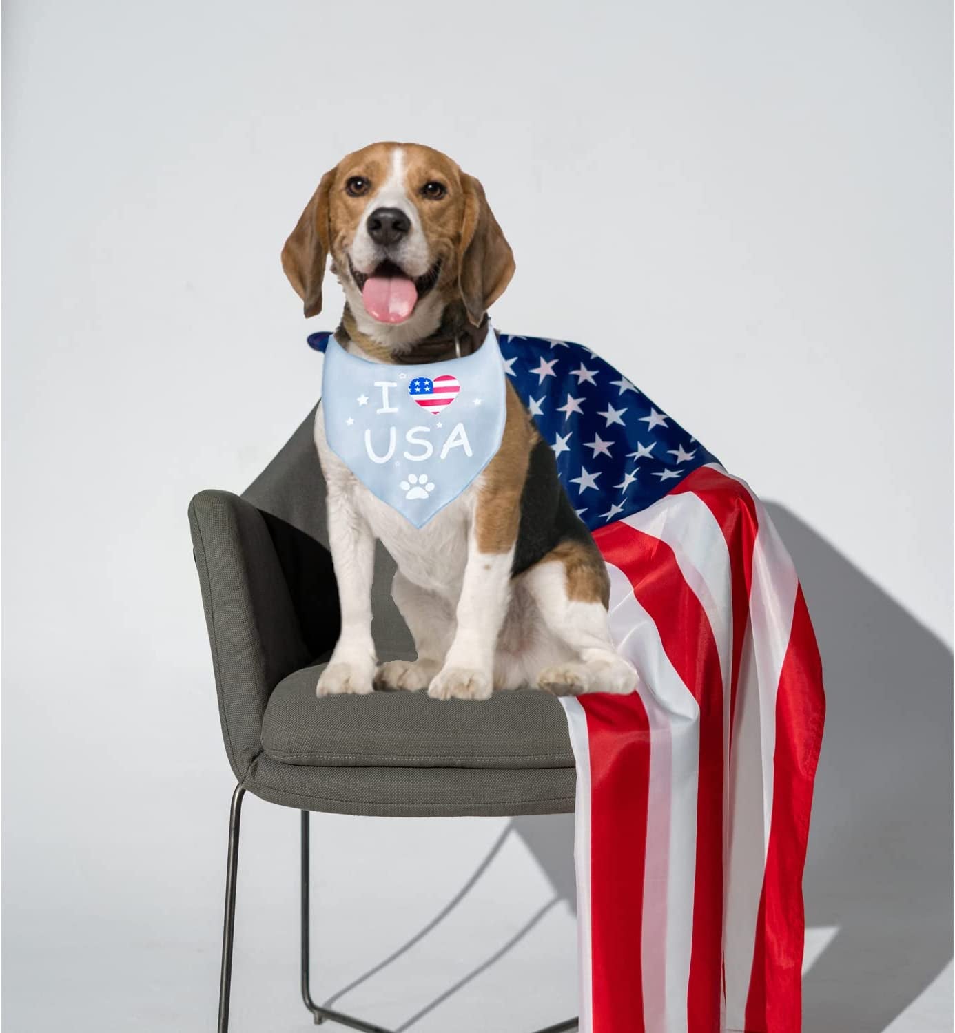 Fourth of July Dog Bandana,Dog Bandanas 4Th of July,Independence Day Patriotic Dog Bandana American Boy Dog Bandana for Large