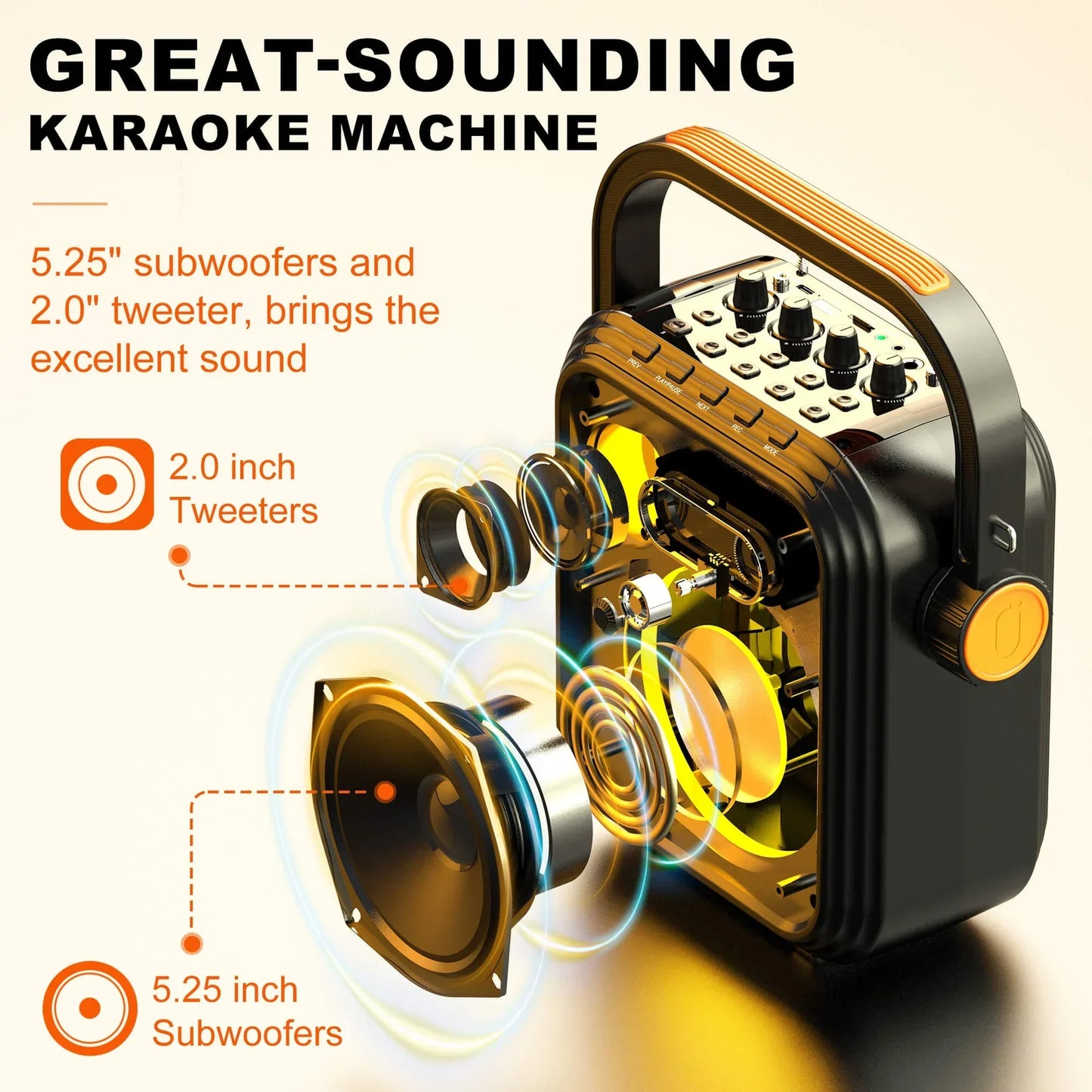 Portable Wireless Speaker with FM Radio with 2 Microphone