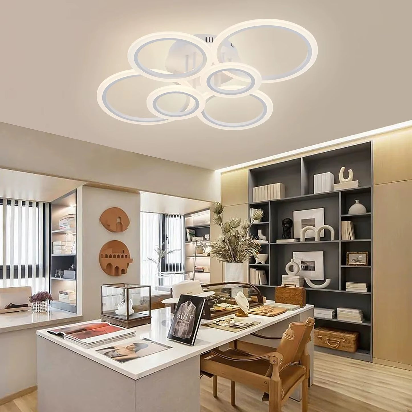 Modern LED Home Ring Ceiling Mount Light