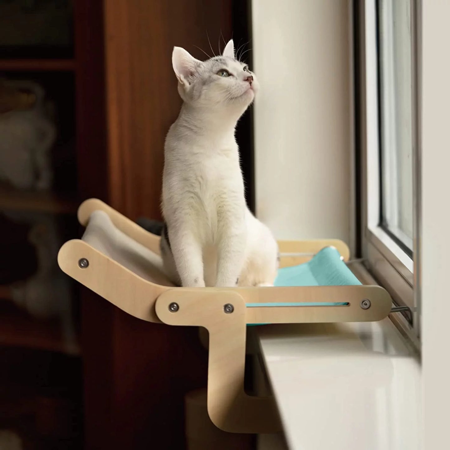 Medium Cat Window Perch Lounge Hammock Seat Bed for Indoor Cats, Blue