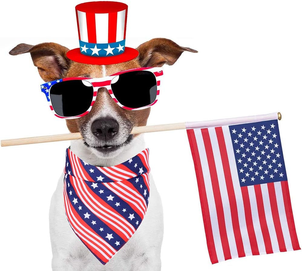 American Flag Dog Bandanas, Multiple Sizes Offered, Triangle Dog Scarf Patriotic 4Th of July Dog Bandanas for Medium Large Dogs (Large, Independence Day-2)