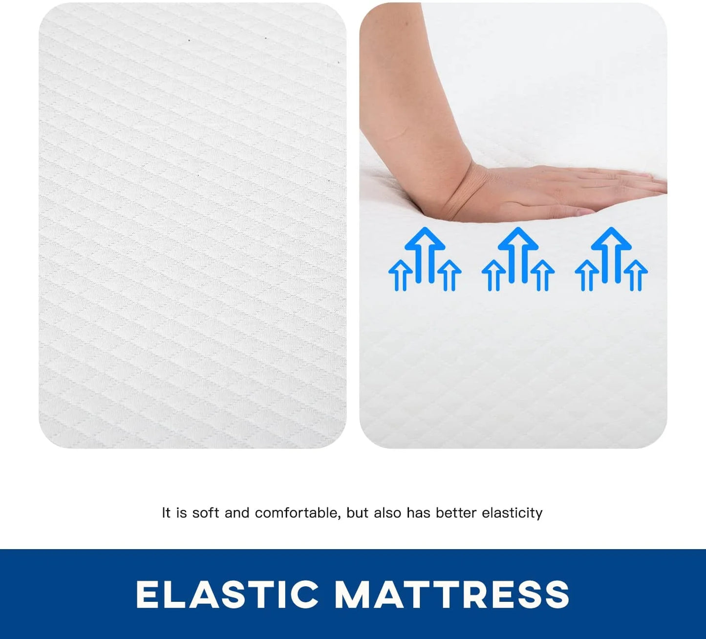Memory Foam Certified Pressure Relieving (6 In, Queen) Mattress in a Box