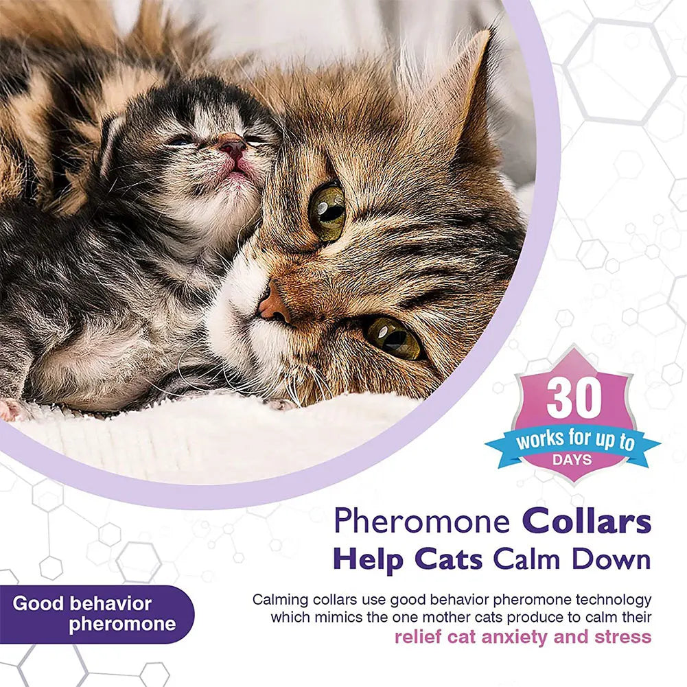 3/4 Pack Pet Calming Collar Stress and Anxiety Relief Appeasing Calming Collar Natural Calm Relax Soothing Collars for Dogs/Cats