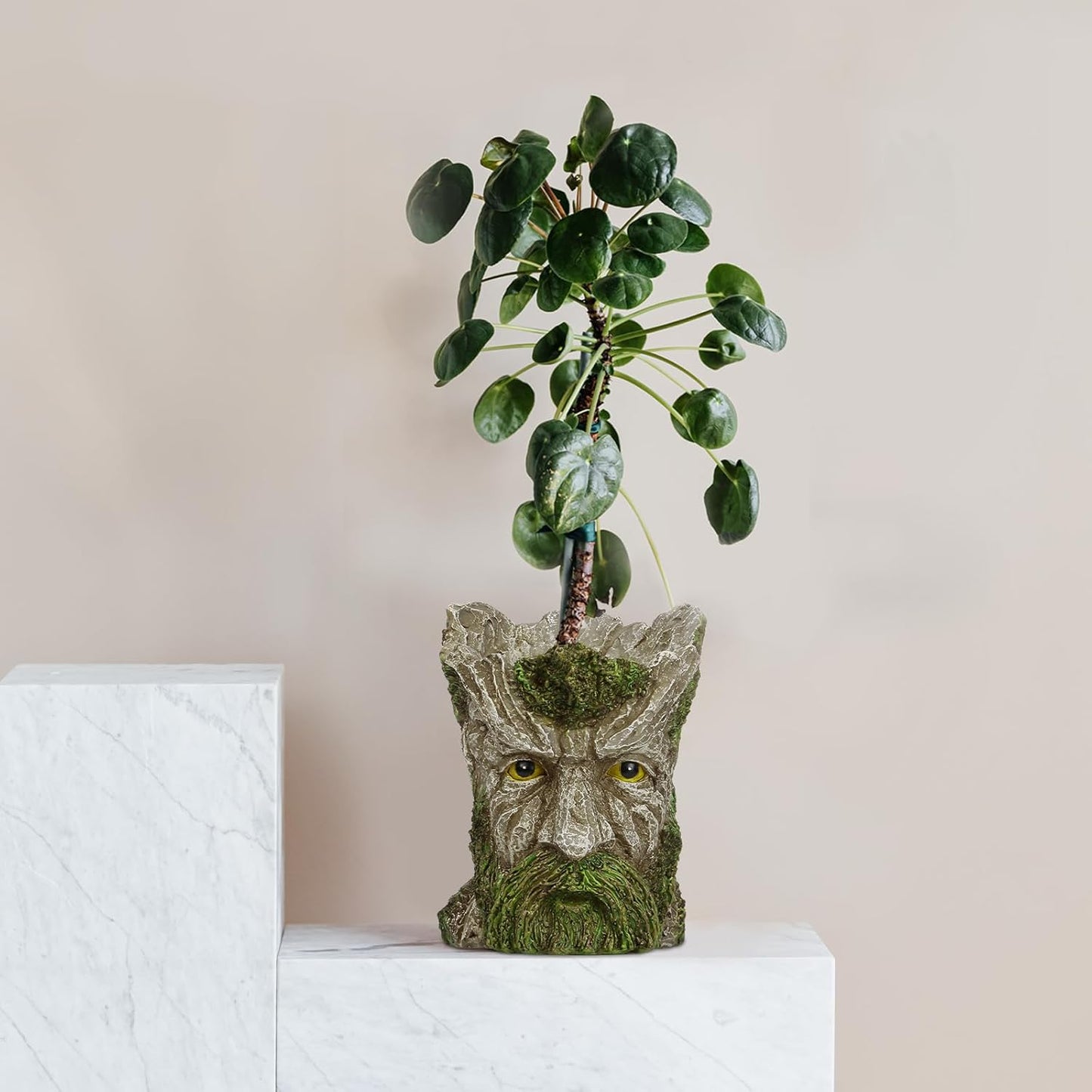 Face Planters Pots Head for Indoor Outdoor Plants