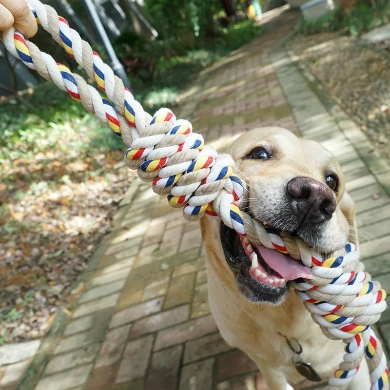 60CM Pets Bite Molar Tooth Rope Toy