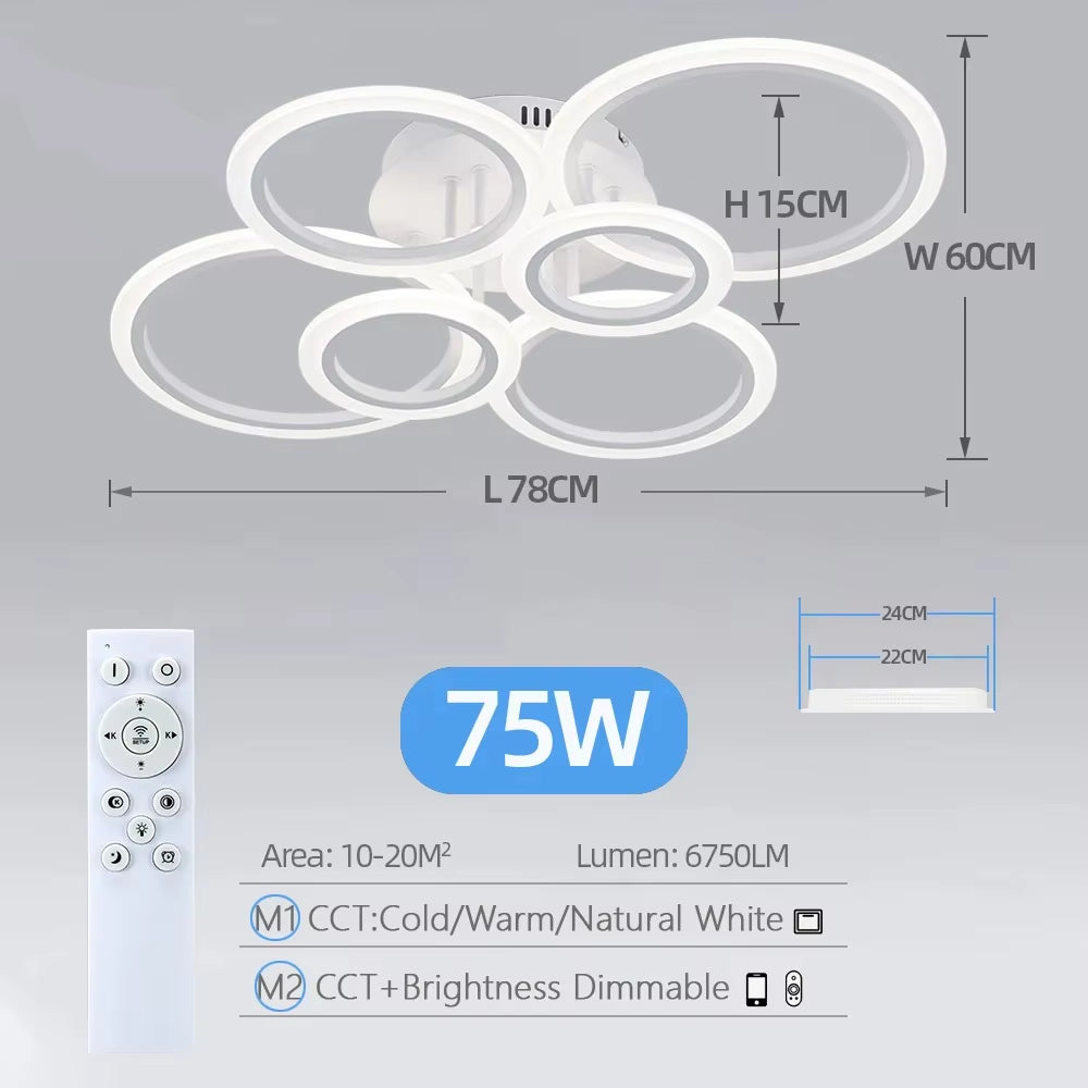 Modern LED Home Ring Ceiling Mount Light