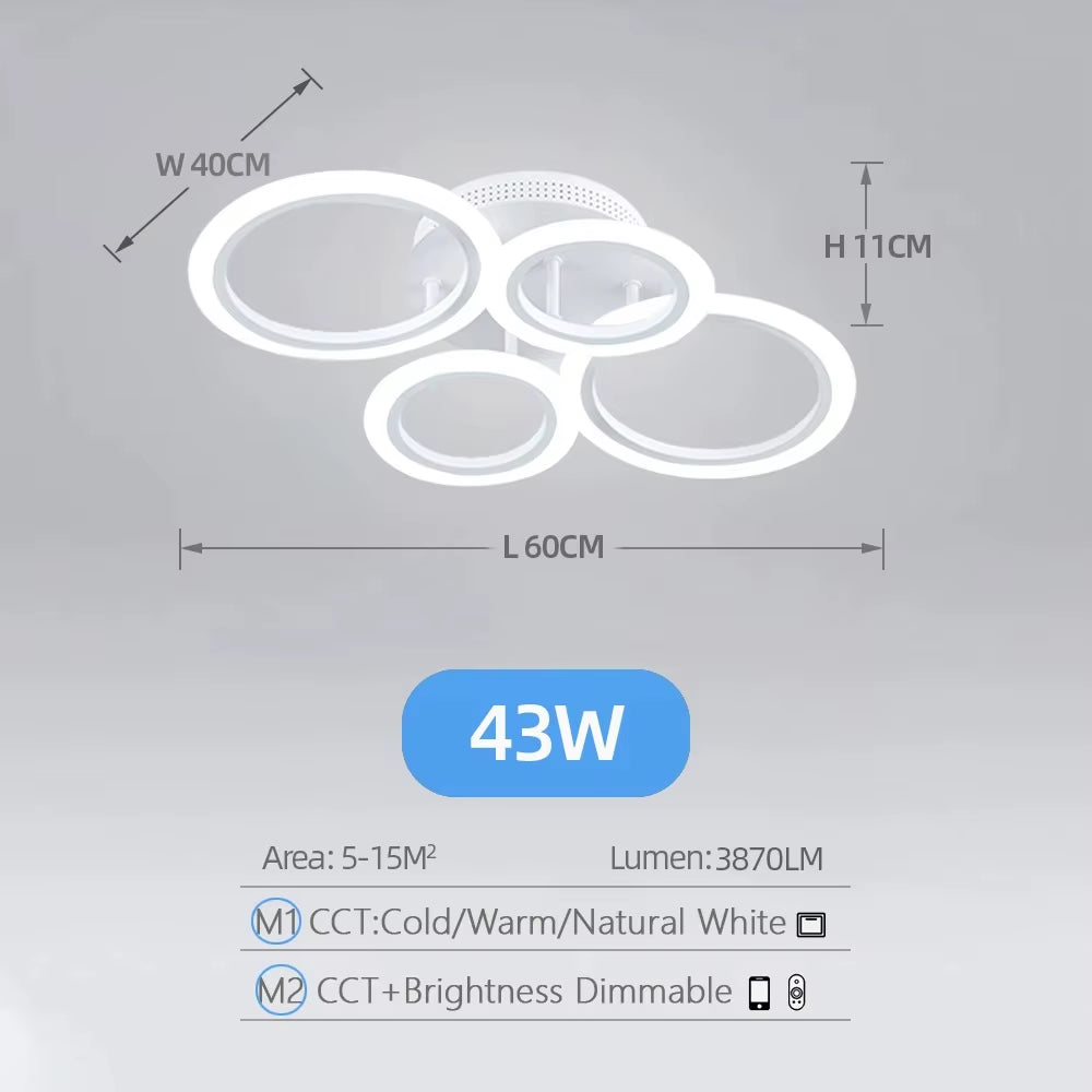 Modern LED Home Ring Ceiling Mount Light