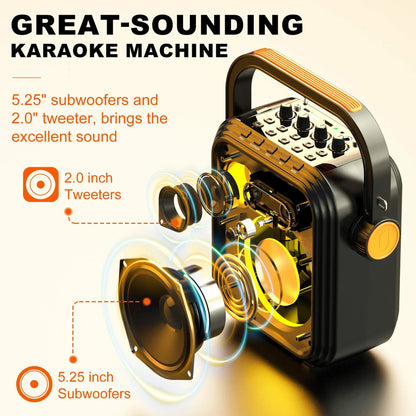 Portable Wireless Speaker with FM Radio with 2 Microphone