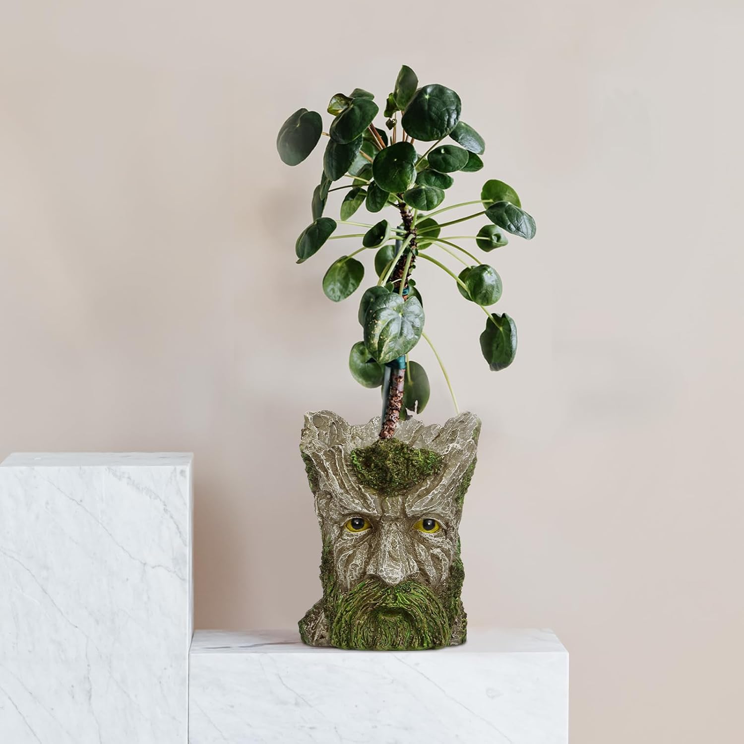 Face Planters Pots Head for Indoor Outdoor Plants