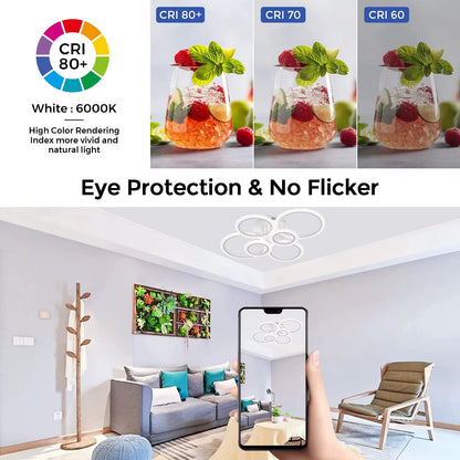 Modern LED Home Ring Ceiling Mount Light