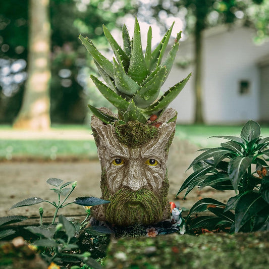Face Planters Pots Head for Indoor Outdoor Plants