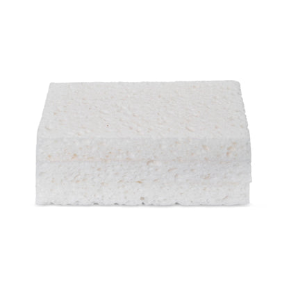 Plain Jane Natural Cellulose Kitchen Sponges - Compostable & Plastic Free - Set of 3