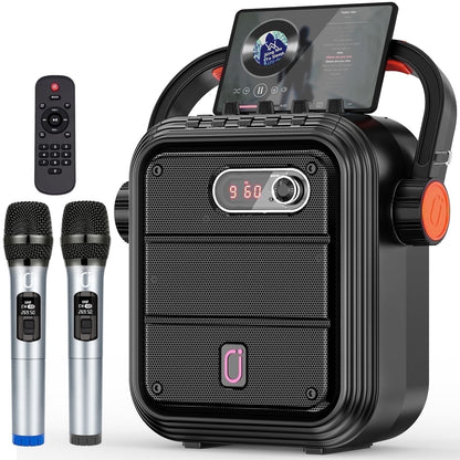 Portable Wireless Speaker with FM Radio with 2 Microphone
