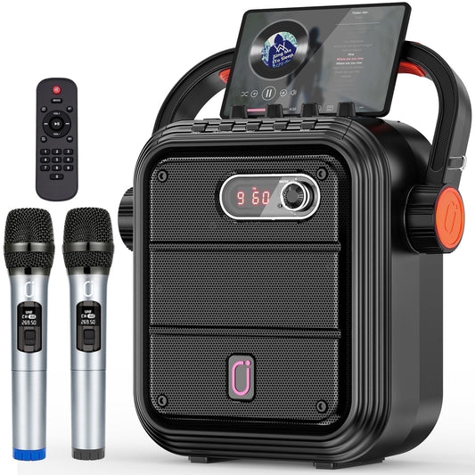 Portable Wireless Speaker with FM Radio with 2 Microphone