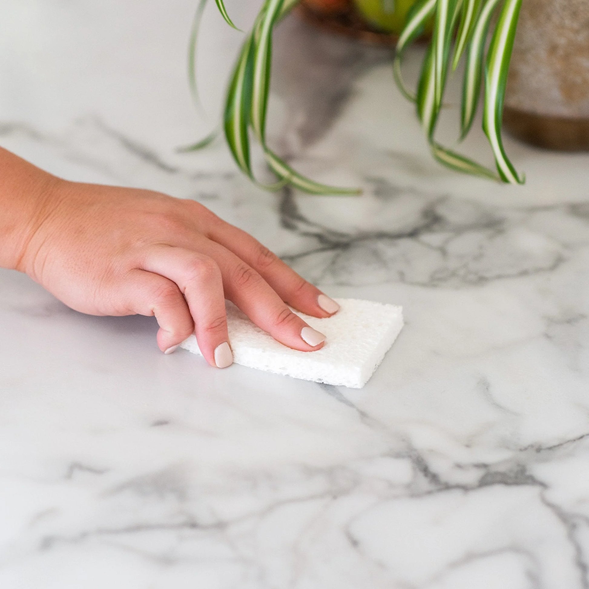 Plain Jane Natural Cellulose Kitchen Sponges - Compostable & Plastic Free - Set of 3
