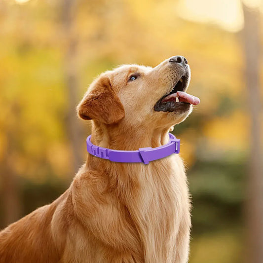 3/4 Pack Pet Calming Collar Stress and Anxiety Relief Appeasing Calming Collar Natural Calm Relax Soothing Collars for Dogs/Cats