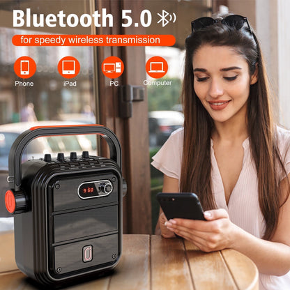 Portable Wireless Speaker with FM Radio with 2 Microphone