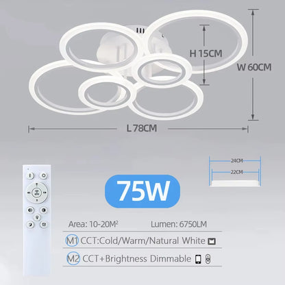 Modern LED Home Ring Ceiling Mount Light