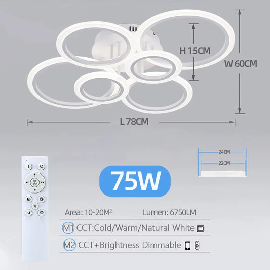 Modern LED Home Ring Ceiling Mount Light